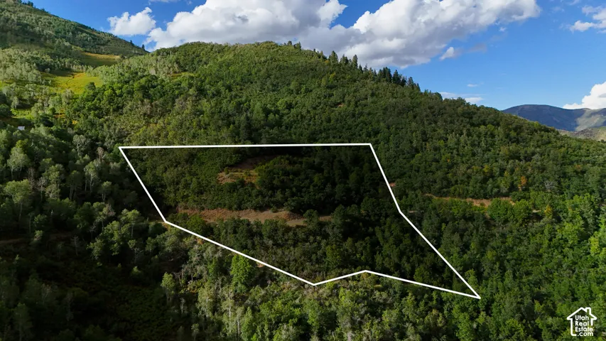 Expansive mountain acreage featuring dense coniferous and deciduous forest cover and undulating topography