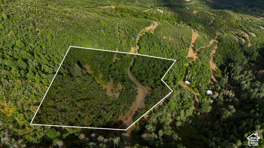 Expansive parcel featuring mature deciduous and coniferous trees, rugged topography, and private dirt road access