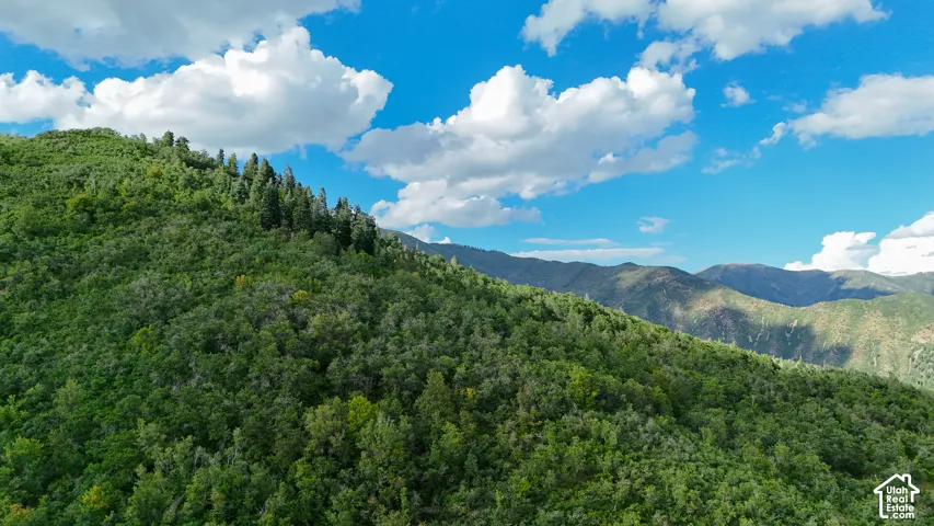Expansive mountain topography featuring dense evergreen forests, natural terrain, and elevated ridgelines