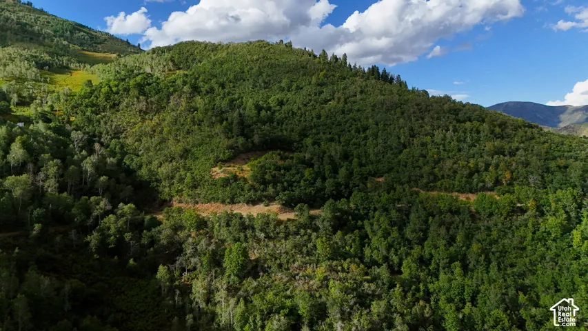 Expansive mountainous terrain featuring dense forest coverage, varying elevation, mature coniferous and deciduous trees, and natural ridgeline topography