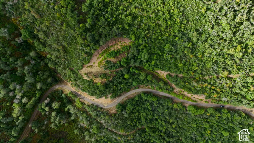 Aerial perspective featuring dense wooded acreage and winding paved access roads