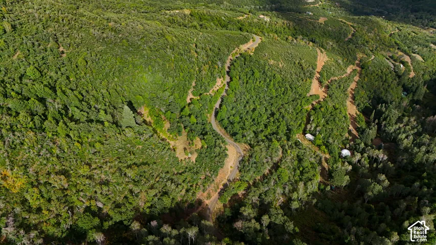 Aerial perspective of mountainous terrain featuring dense forest coverage, natural rock outcroppings, and established winding topography