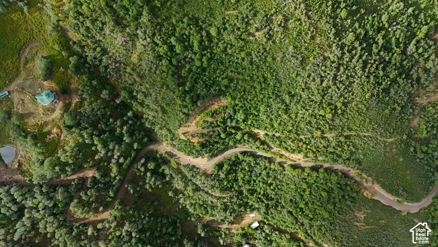 Aerial landscape featuring dense forest cover, a winding unpaved access road, and localized terrain clearings