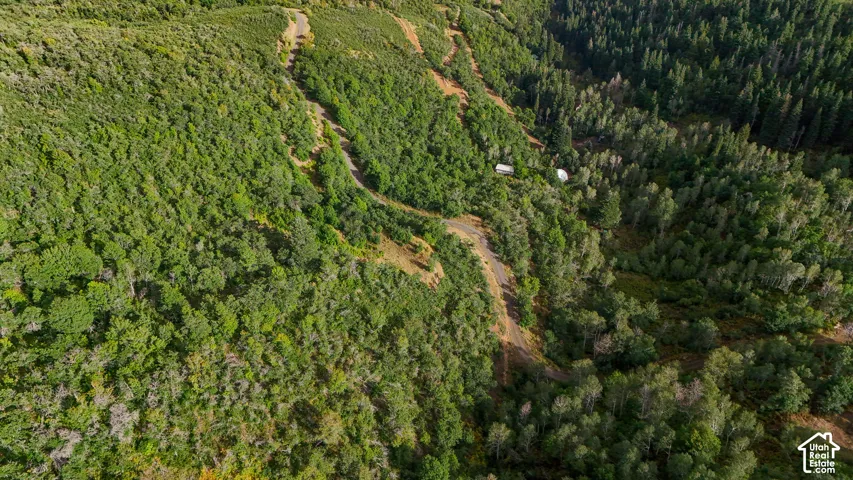 Aerial perspective featuring expansive forested terrain, dense evergreen canopy, natural ridgeline topography, and winding private access road