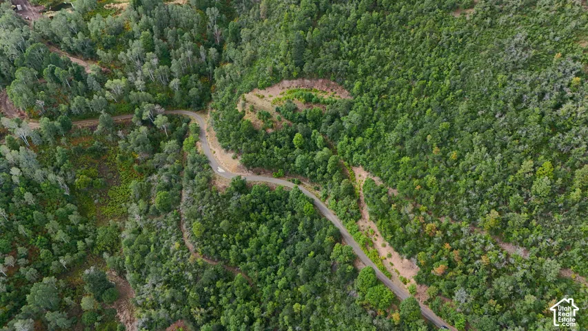 Aerial view of sloped, forested acreage featuring paved road access and established vegetation