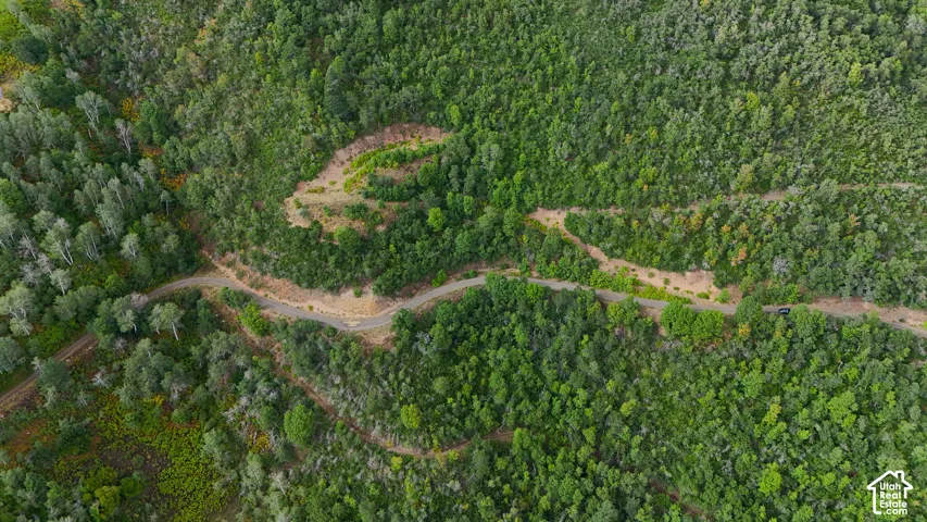 Aerial view of expansive forested acreage featuring dense tree coverage, natural topography, and a paved road
