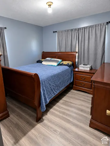 Room featuring wood-finish flooring, dual windows with curtain rods, and a ceiling-mounted light fixture