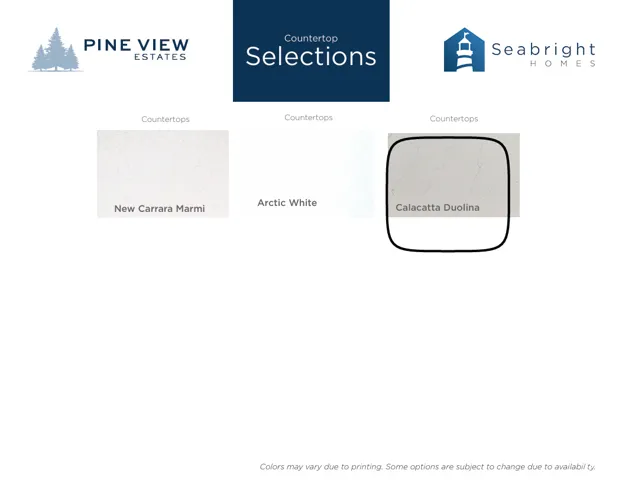 Countertop Selection Sheet. Displaying available material finishes for the property