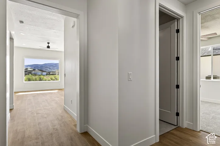 Interior hall featuring wood-finish flooring, white walls, and interior doors with matte black hardware