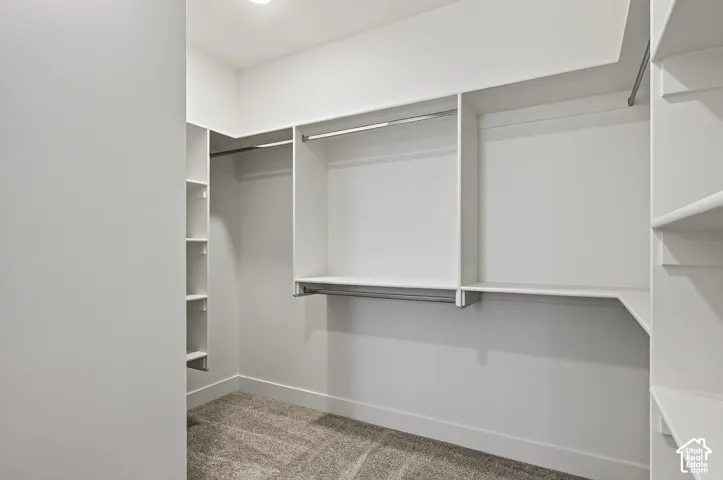 Walk-in closet featuring white built-in shelving, integrated hanging rods, and neutral carpeting