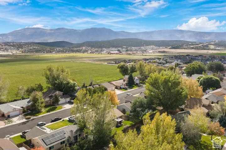 Neighborhood Aerial