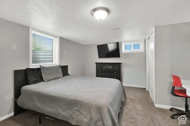 Neutral-toned room featuring carpeted flooring, two casement windows, a ceiling-mounted light fixture, and a built-in closet with sliding doors
