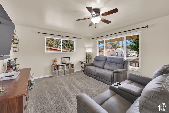 Neutral interior space featuring wall-to-wall carpeting, large windows with curtain rods, and a ceiling fan with integrated lighting