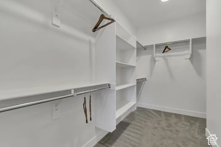 Walk-in closet featuring white built-in shelving, dual-level metal clothing rods, and wall-to-wall carpeting