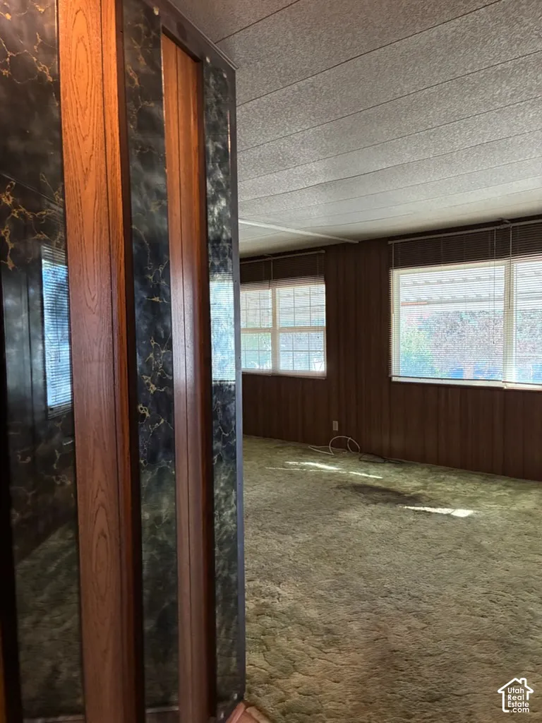 Interior space featuring wood-paneled walls, floor-to-ceiling decorative accent paneling with a stone-pattern finish, dual-aspect windows, and wall-to-wall carpeting