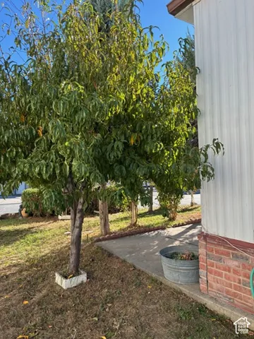 Exterior lot featuring mature trees, a concrete walkway, and brick foundation detailing