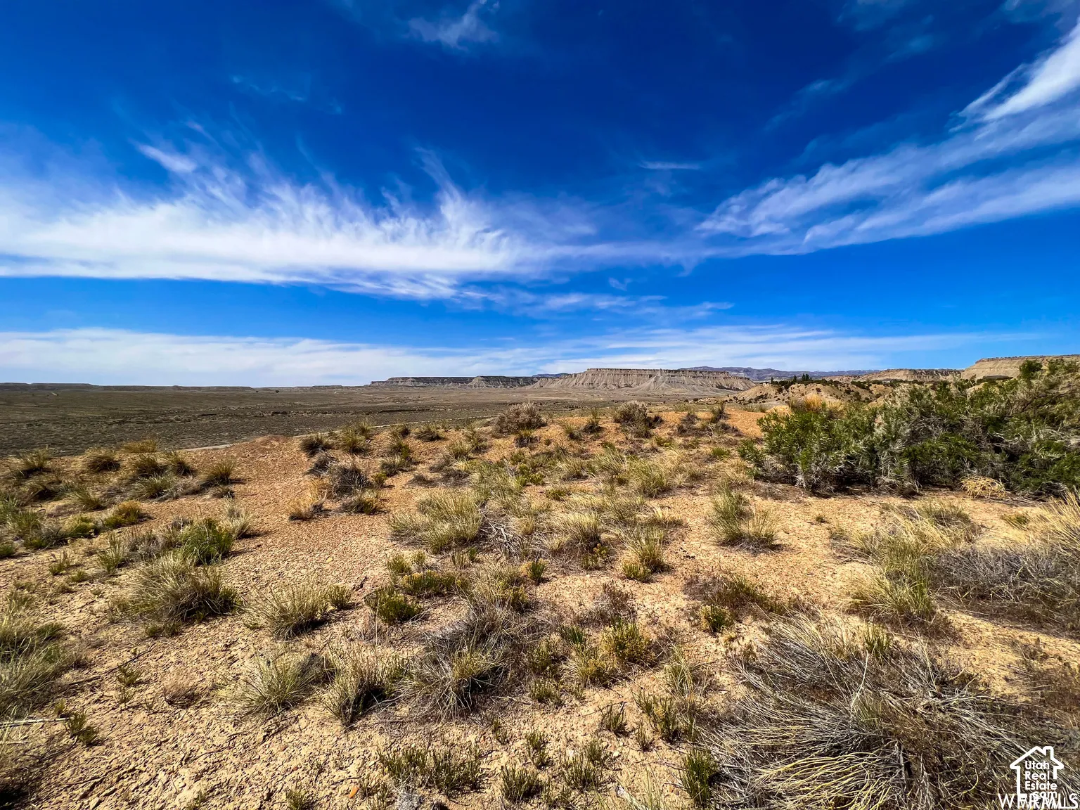 Expansive acreage featuring native desert vegetation, natural terrain, and mesa topography