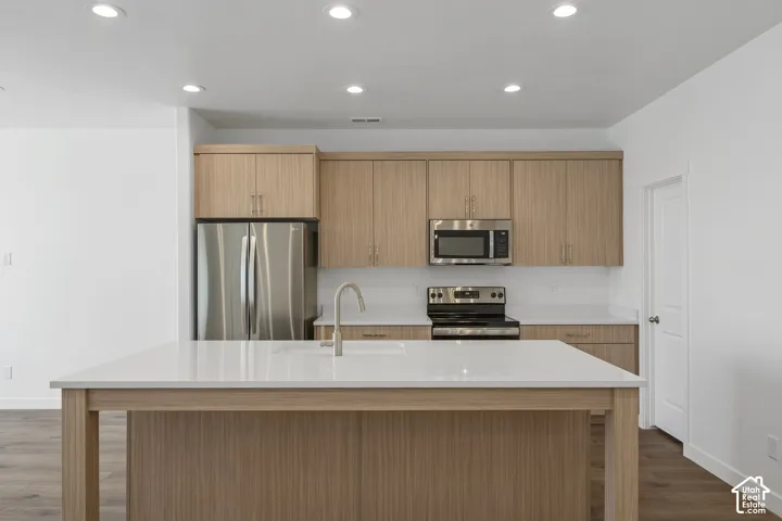Kitchen featuring flat-panel melamine finish cabinetry, quartz countertops, an island with an integrated sink, stainless steel appliances, and recessed ceiling lighting
