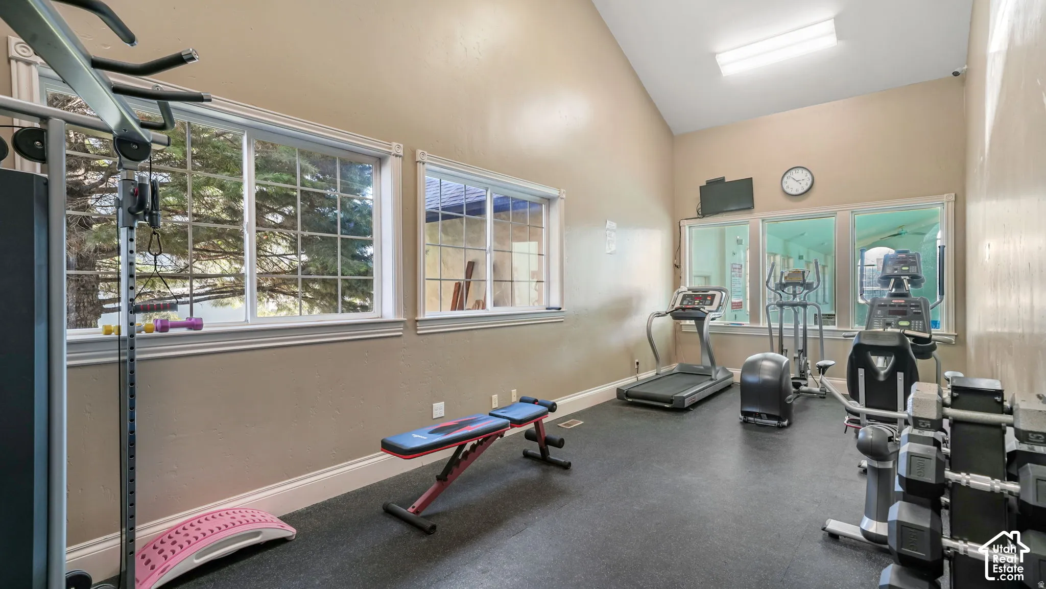 Vaulted ceiling, multiple sliding windows with grid panes, and resilient black flooring