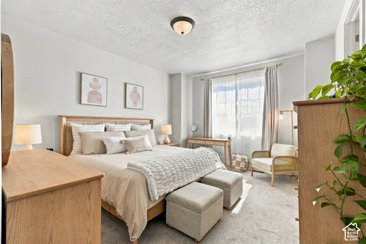 Neutral interior room featuring wall-to-wall carpeting, textured ceiling, flush-mount lighting, and window with attached curtain rod