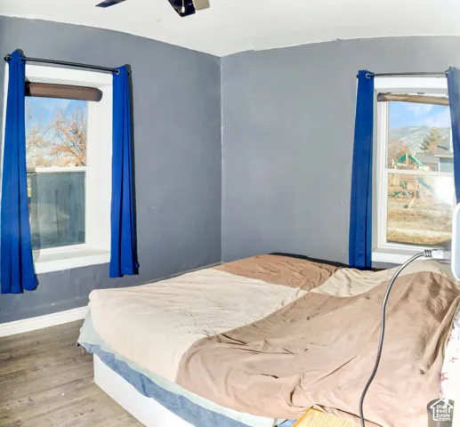 Room interior featuring wood-finish flooring, charcoal-toned walls, and dual double-pane windows with mountain scenery