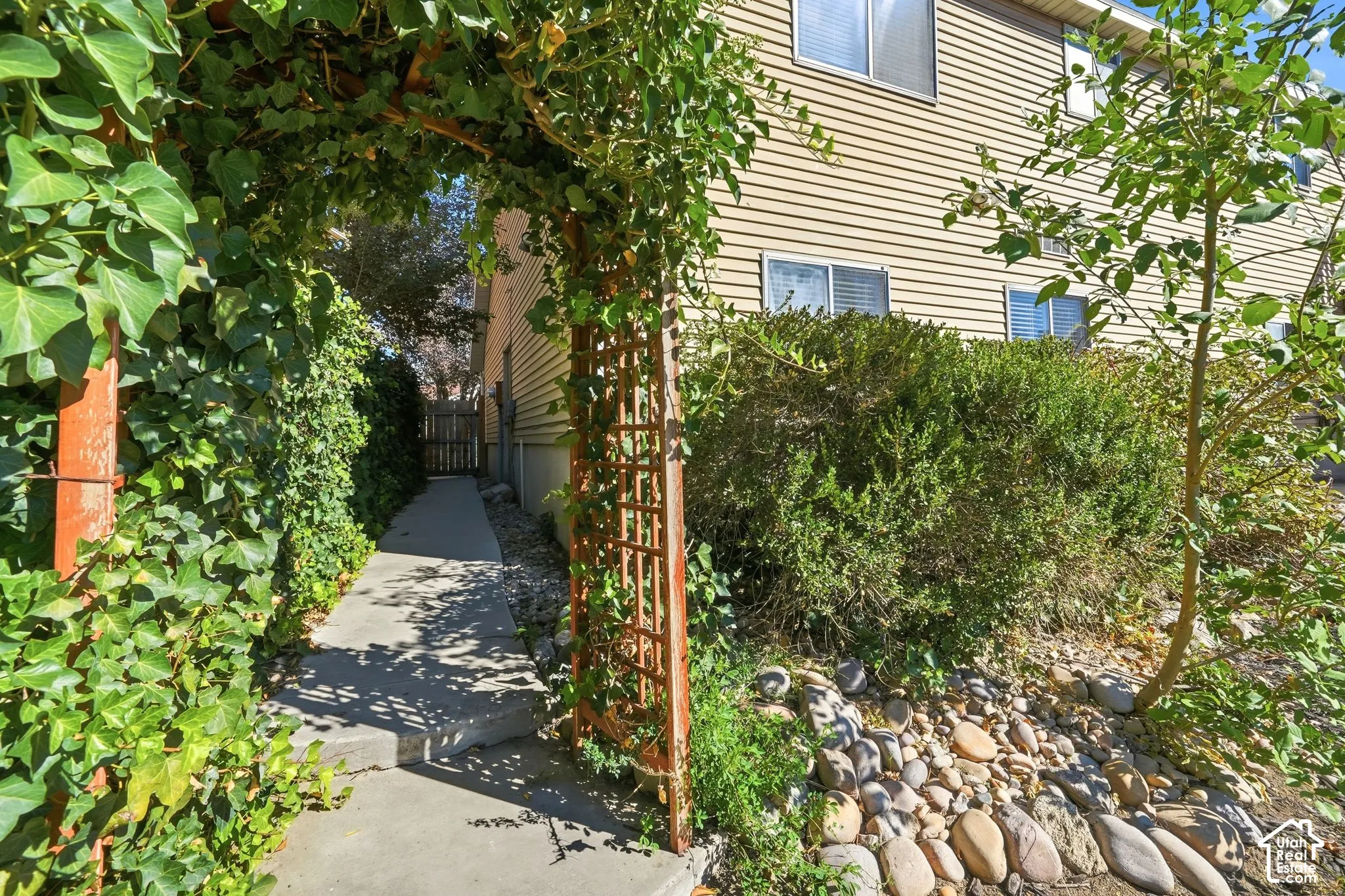 Exterior side path featuring a concrete walkway, decorative wooden trellis, climbing ivy, and stone ground cover