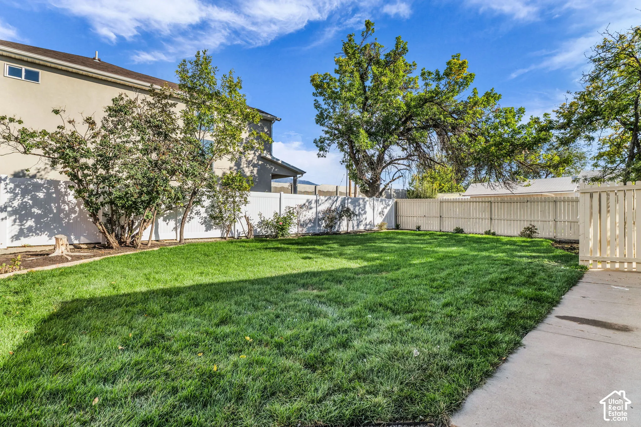 Expansive fenced backyard featuring a manicured lawn, mature trees, and concrete patio