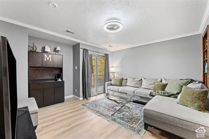 Living area featuring light-toned wood-finish flooring, a built-in dark cabinetry unit, crown molding, a circular flush-mount ceiling light, and a sliding glass door