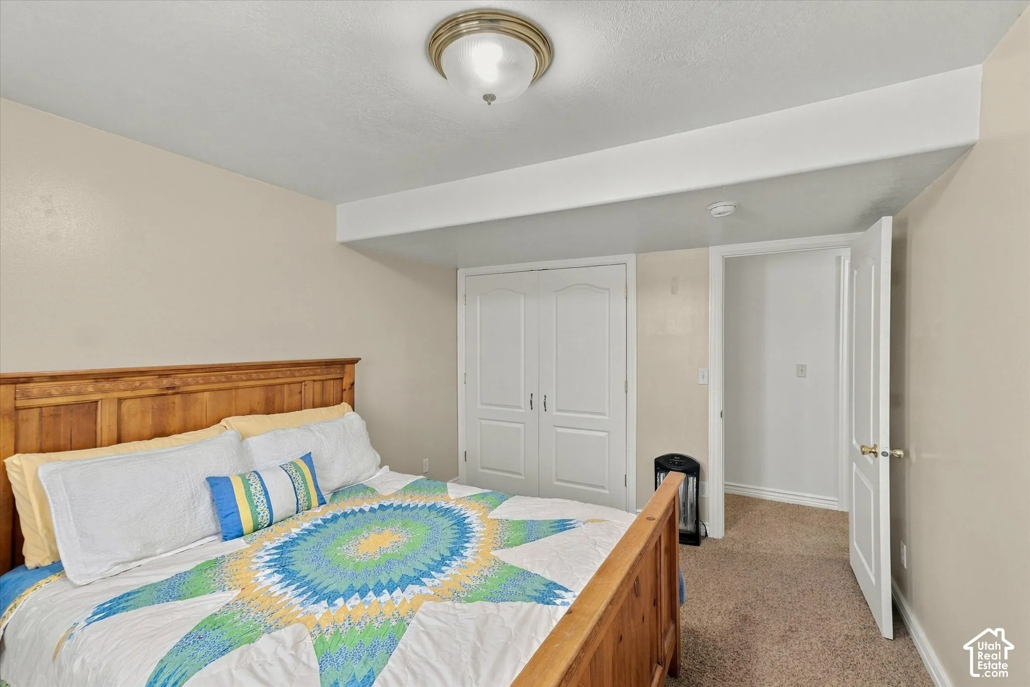 Neutral-toned room featuring a dual-panel closet, wall-to-wall carpeting, and a flush-mount dome light fixture