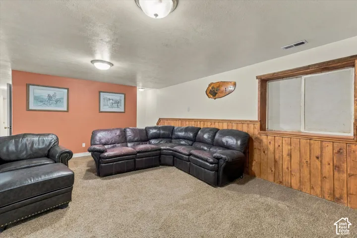 Room featuring natural wood-finish wainscoting, flush-mount ceiling lighting, and carpeted flooring