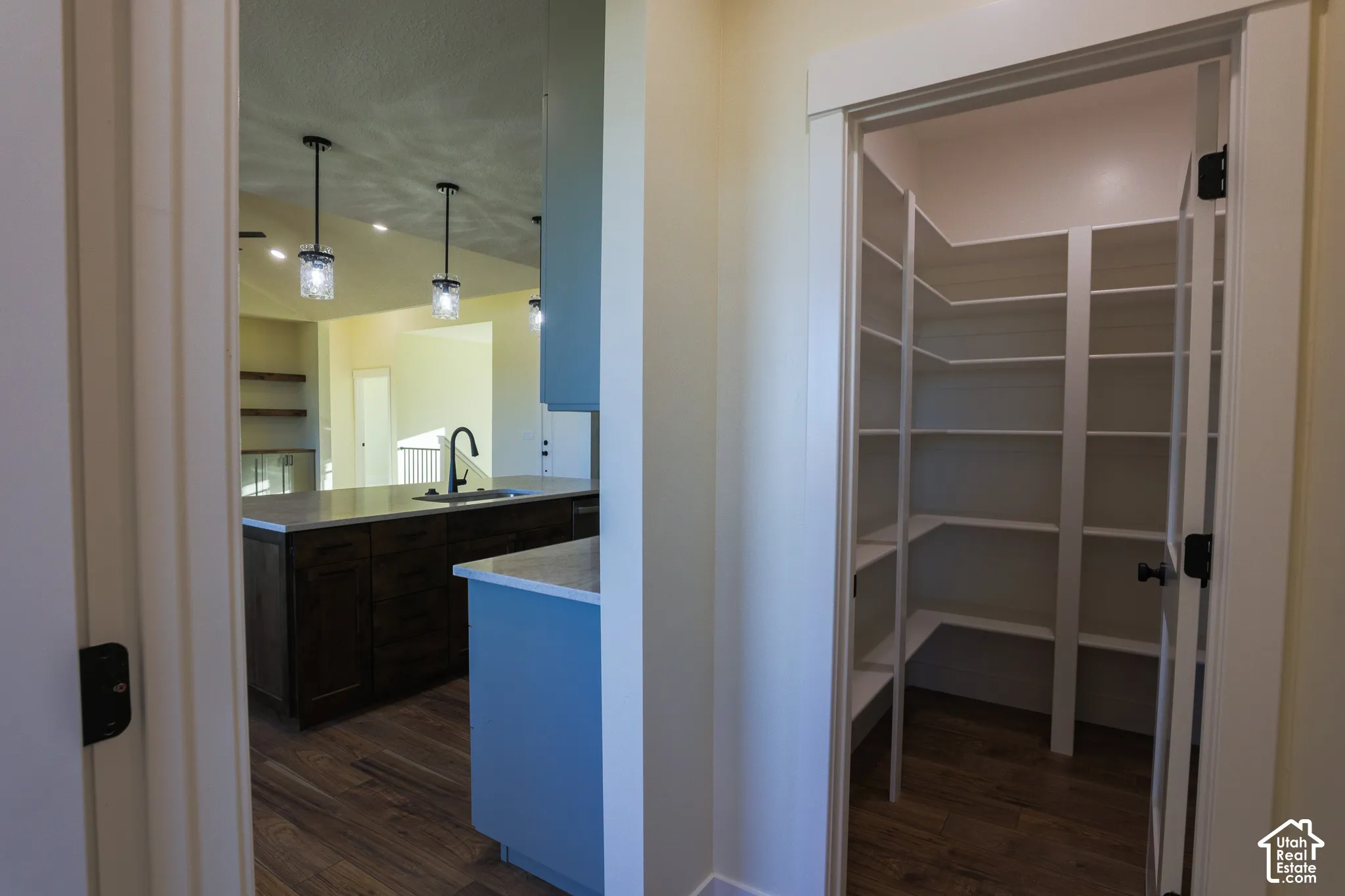 Walk-in pantry featuring white custom shelving and wood-finish flooring, complemented by an island with a stone-surface countertop, dark-finish cabinetry, and pendant lighting
