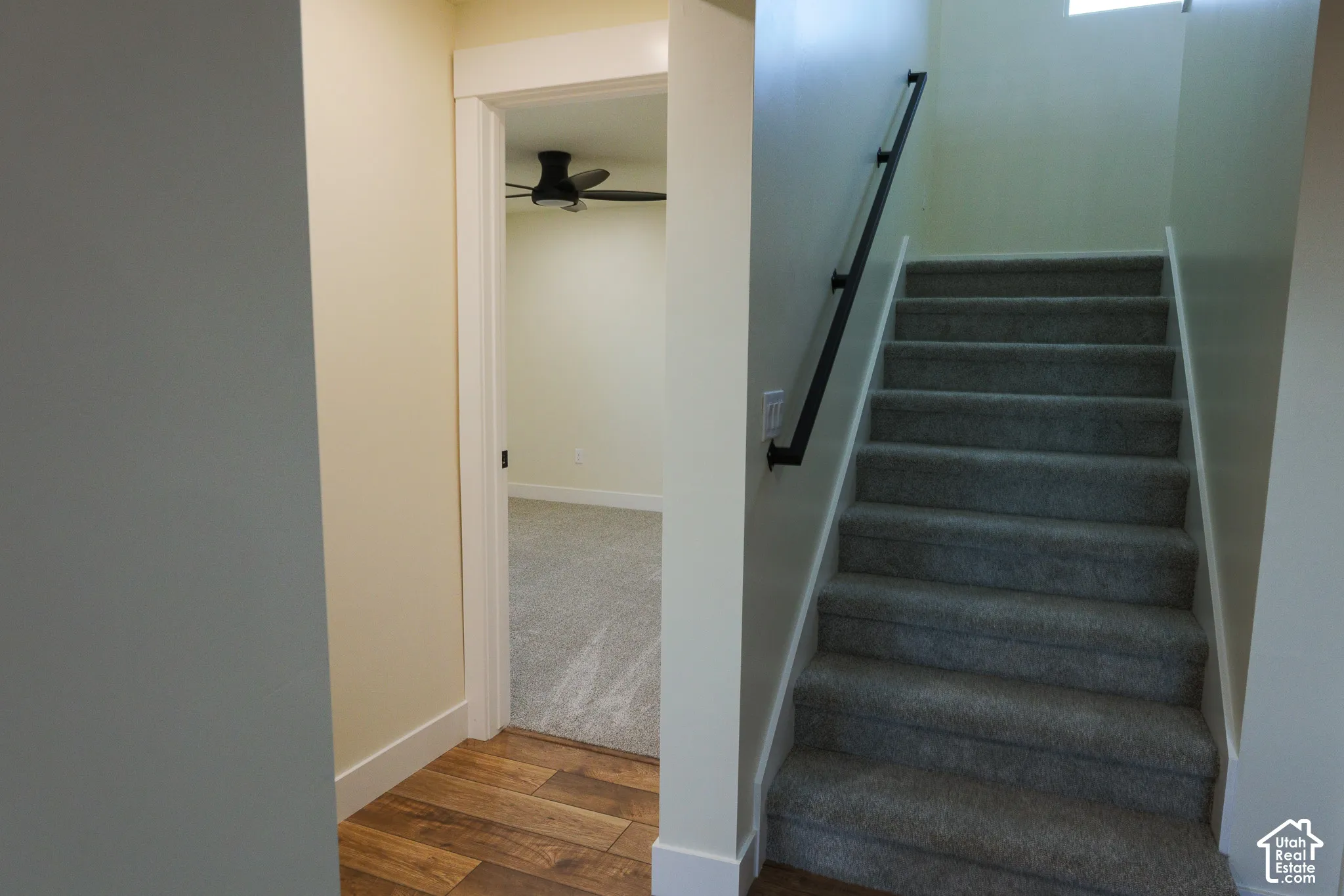 Staircase featuring wall-to-wall carpeting, a black metal handrail, wood-finish flooring, and a ceiling fan