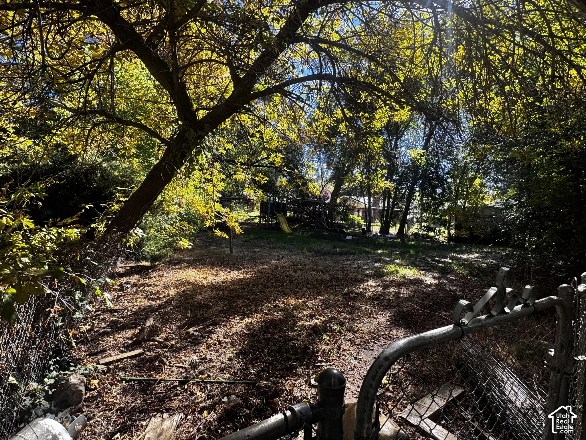Expansive backyard featuring mature trees, chain-link fencing, and iron gate access