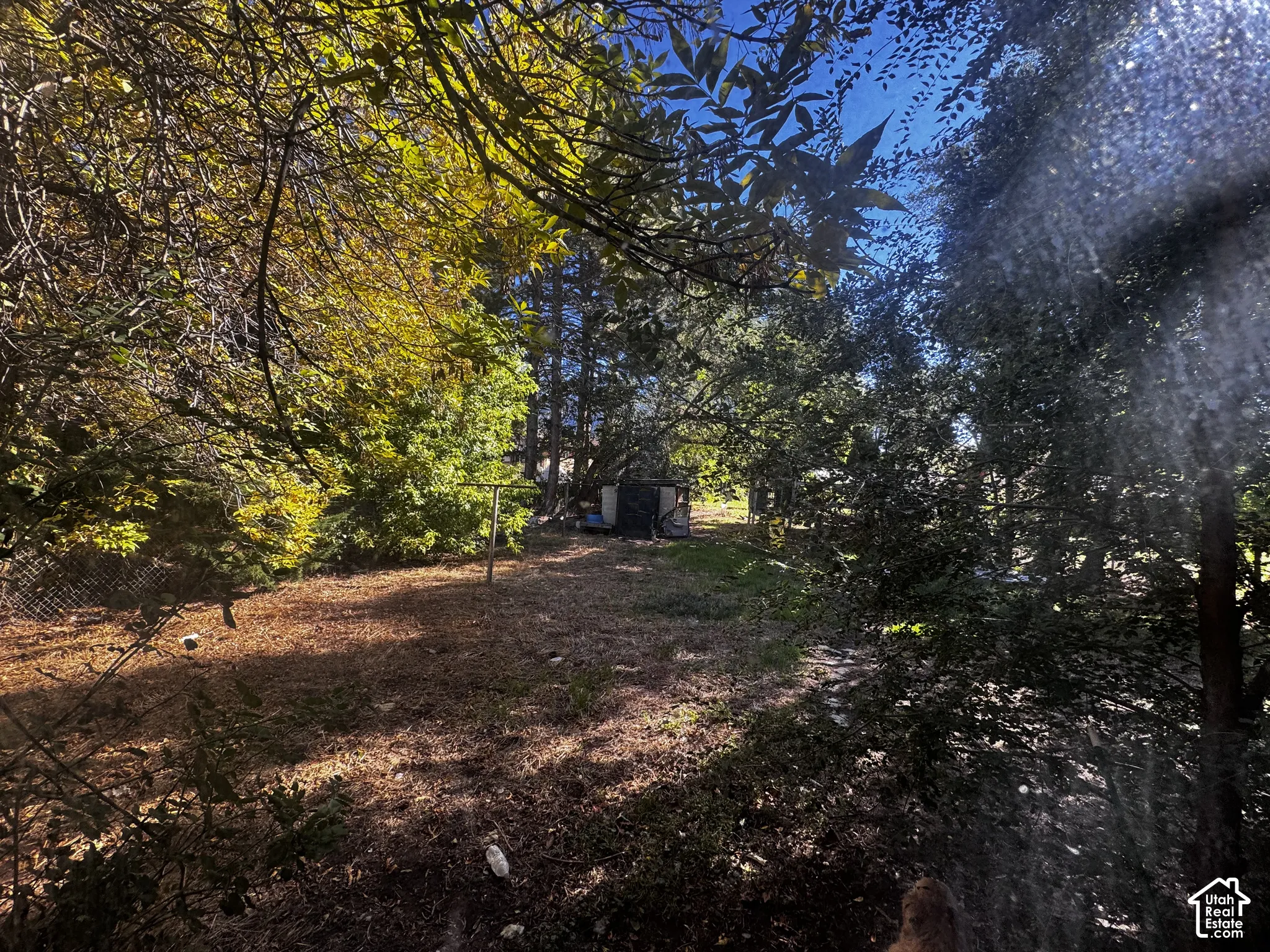 Expansive rear lot featuring mature trees, a chain-link fence, and an outdoor storage structure