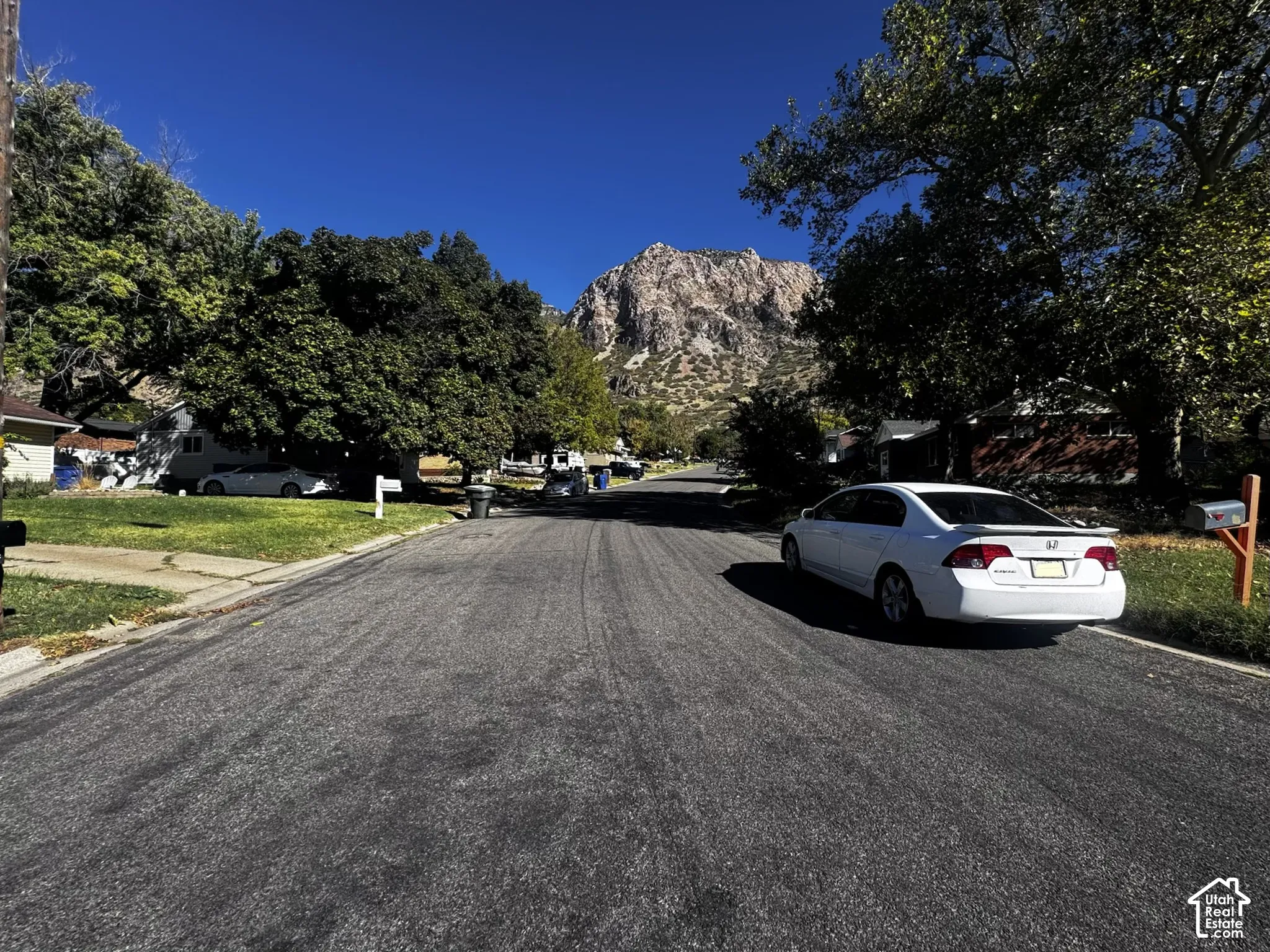 Residential street featuring mature deciduous trees and a prominent mountain backdrop