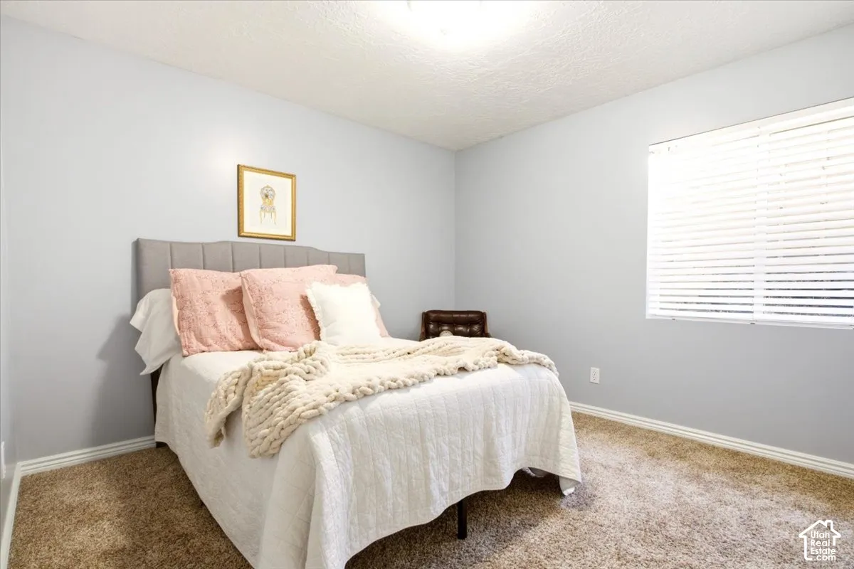 Neutral-toned interior space featuring light-colored wall paint, plush carpeting, and a window fitted with horizontal blinds