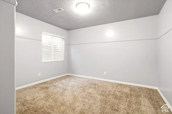 Neutral-toned carpeting, perimeter wall trim, textured ceiling, flush-mount lighting, and window blinds