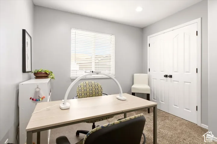 Neutral-toned interior featuring textured carpeting, double-panel closet doors with matte black hardware, and an expansive window with slatted blinds