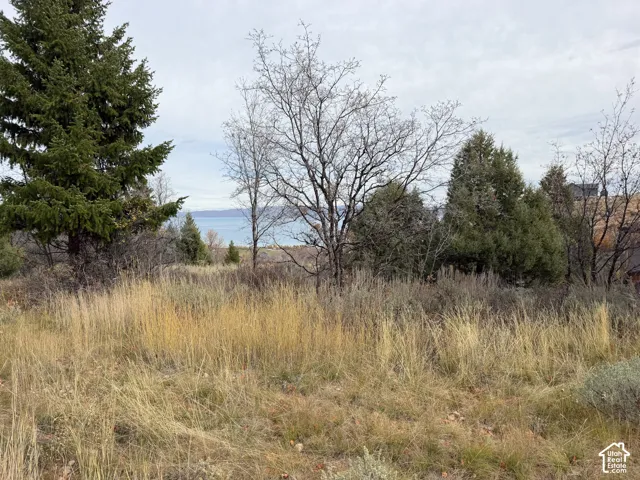 Expansive lot featuring native grasses, mature evergreen trees, and water scenery