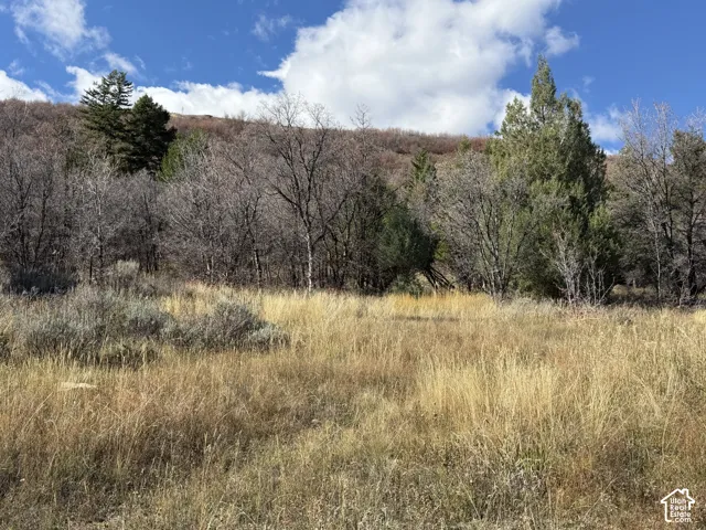 Expansive acreage featuring native grasses, mature trees, and mountainous terrain