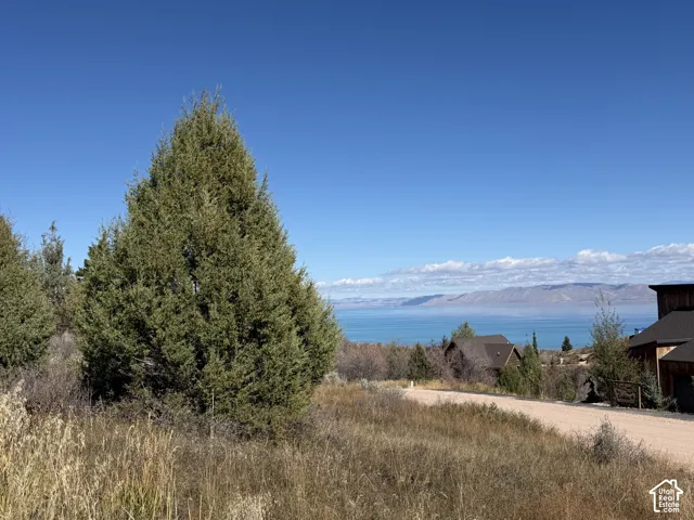 Expansive lot featuring native juniper trees, natural grasses, and direct water access