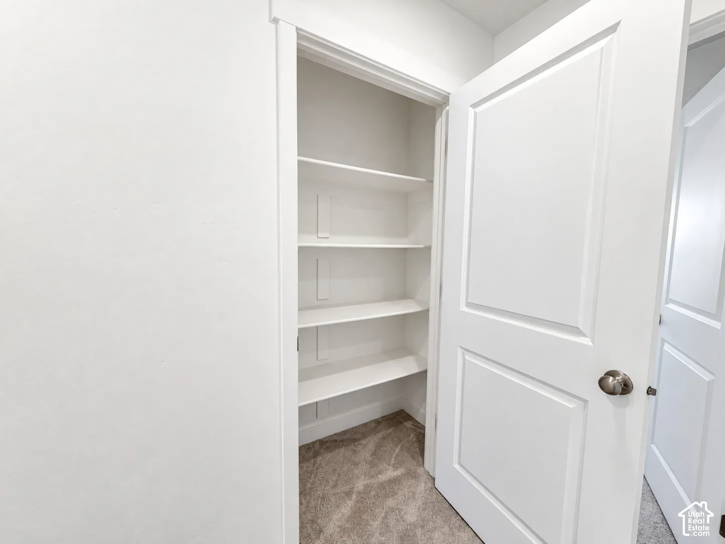 Storage closet featuring five fixed shelves, a white paneled door, and neutral carpeting