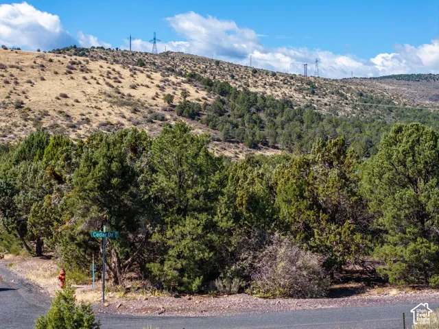 Parcel of land featuring native juniper trees and open hillside terrain
