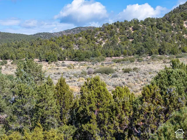 Expansive high-desert landscape featuring mature juniper trees, native shrubbery, and mountain terrain