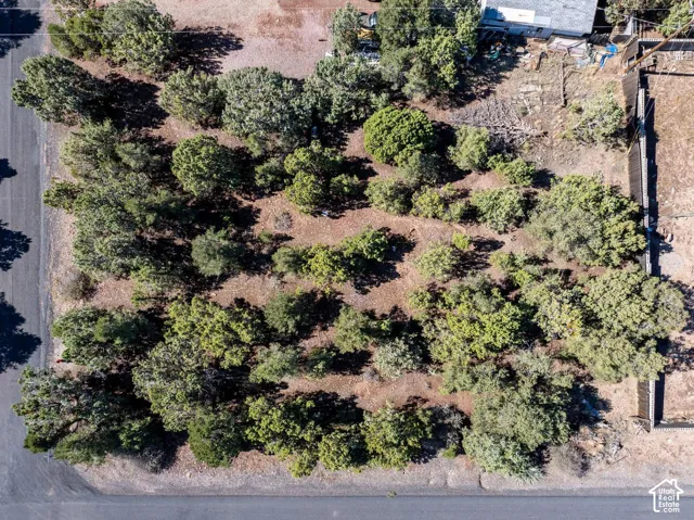 Corner lot featuring native vegetation, mature evergreen trees, and paved street access