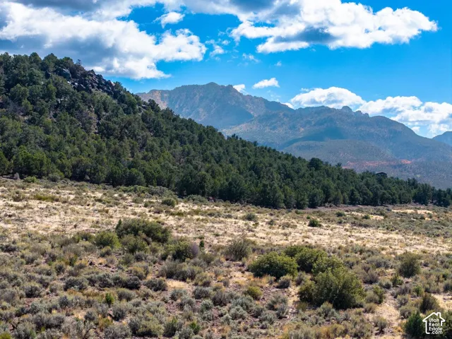 Expansive lot featuring native high-desert vegetation, mature evergreen clusters, and prominent mountain terrain