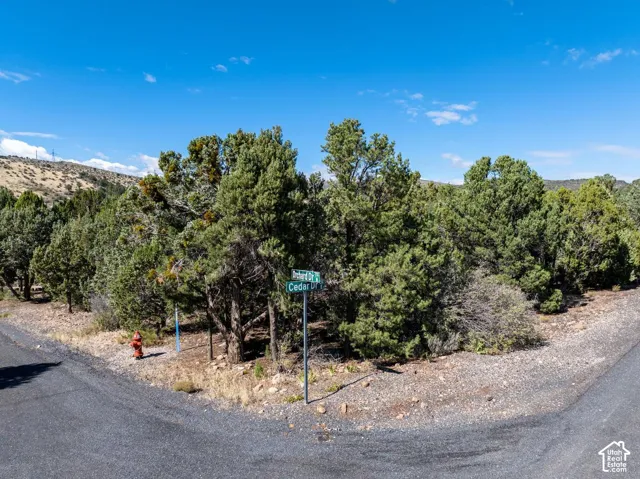 Corner lot featuring established native trees, paved street access, and mountain terrain backdrop