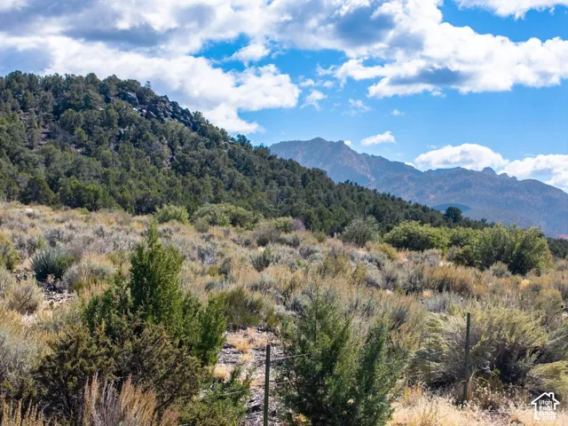 Expansive landscape featuring native vegetation, mature evergreen trees, and a mountain backdrop