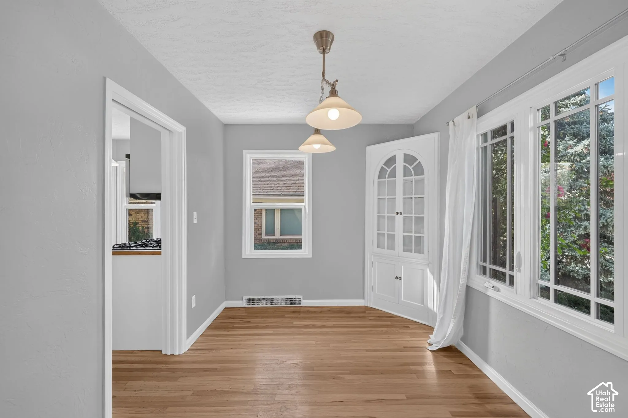 Wood-finish flooring, built-in arched glass-front cabinetry, multi-pane windows, and a multi-light pendant fixture