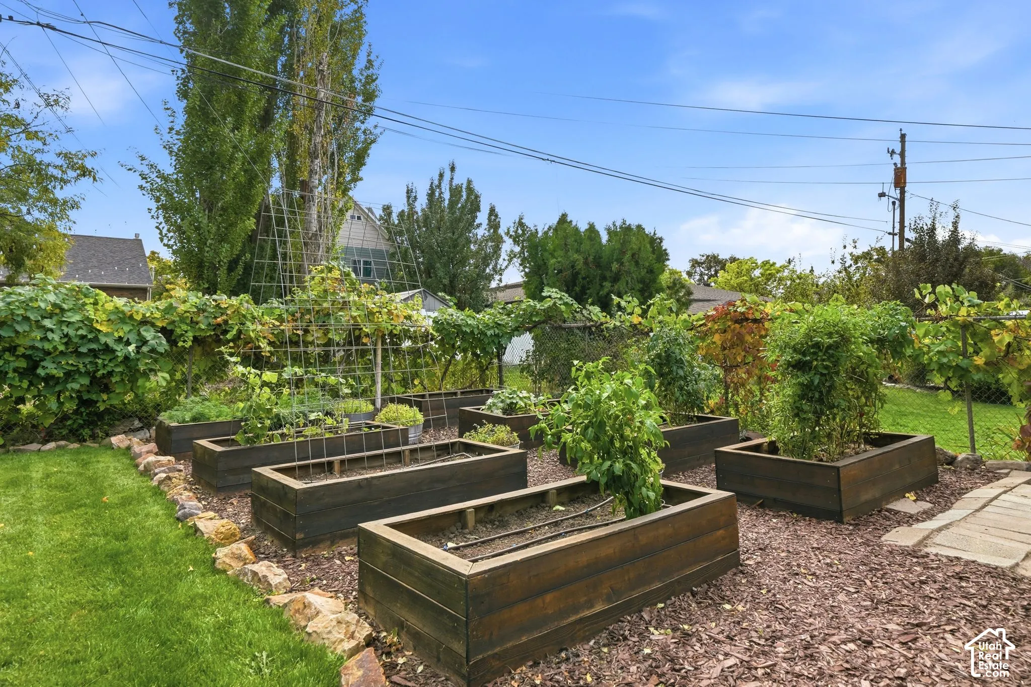 Backyard garden featuring elevated timber planter boxes, integrated metal trellising, stone edging, and mulch ground cover